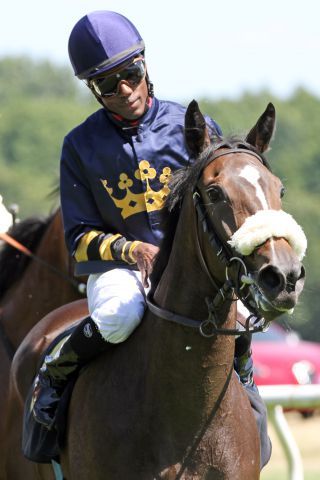 Indikova mit Eduardo Pedroza nach dem Sieg in Hoppegarten. www.galoppfoto.de - Peter Heinzmann