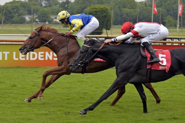 Iraklion gewinnt mit Wladimir Panov vor Lovato im Derby-Trial. www.galoppfoto.de - John James Clark