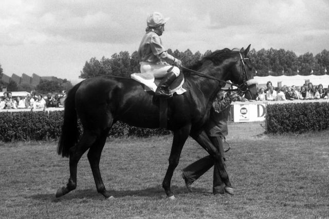 Jockeylegende Erwin Schindler saß schon 1979 im Rennsattel - wie hier in Hamburg auf Star. www.galoppfoto.de - Archiv: Hilde Hoppe