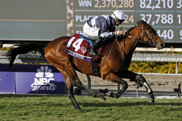 Karakontie bei seinem Vorjahressieg im Breeders' Cup. www.galoppfoto.de - Petr Guth