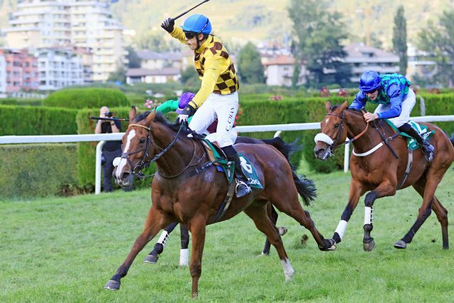 Kazzio und Cevin Chan gewinnen den "Gran Premio" in Meran. www.galoppfoto.de - Petr Guth