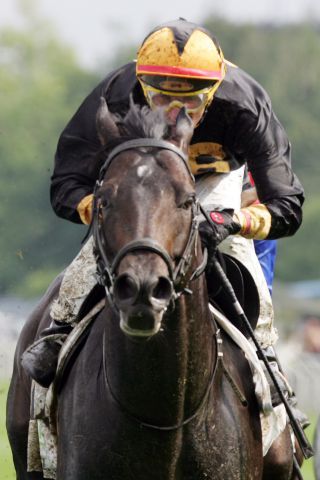 König Turf - hier als Sieger im Jaxx-Pokal 2007 mit Torsten Mundry - deckte in der vergangenen Saison in Frankreich 79 Stuten. www.galoppfoto.de