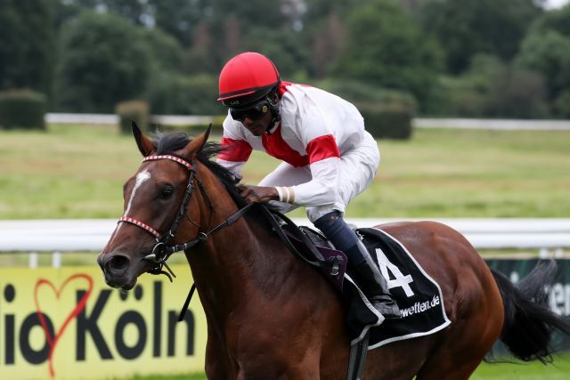 Laccario, winner of the Union-Rennen. Foto: Dr. Jens Fuchs