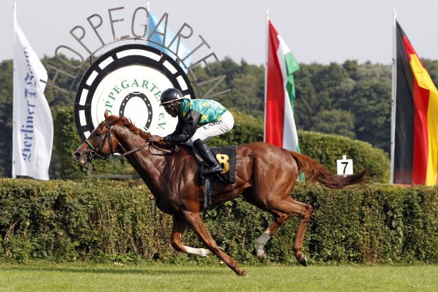 Läuft für südafrikanische Interessen und wird in Gütersloh trainert  - Nach einer Gruppeplatzierung nun der erste Black Type-Treffer für Simba mit Eduardo Pedroza. www.galoppfoto.de -  Sabine Brose