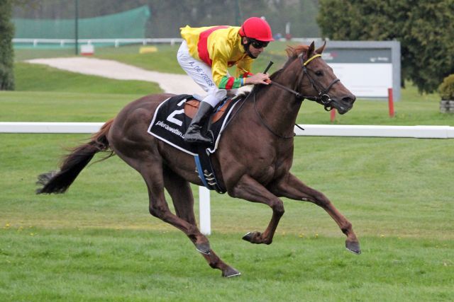 Der Jockey-Dress wird in Longchamp anders aussehen: Lambo bei seinem Sieg in München. www.galoppfoto.de - WiebkeArt