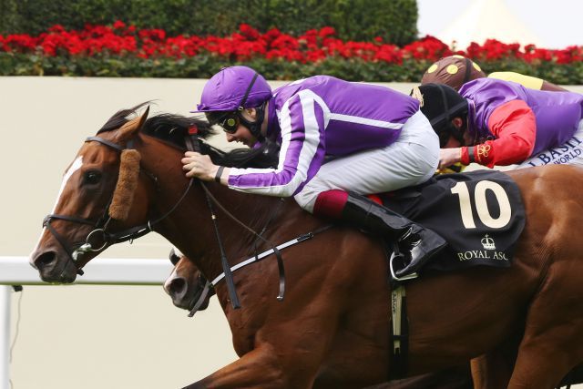 Wird Deckhengst in der Coolmore NH-Sektion: Leading Light - hier mit Joseph O'Brien beim Sieg im diesjährigen Gold Cup. www.galoppfoto.de - Frank Sorge