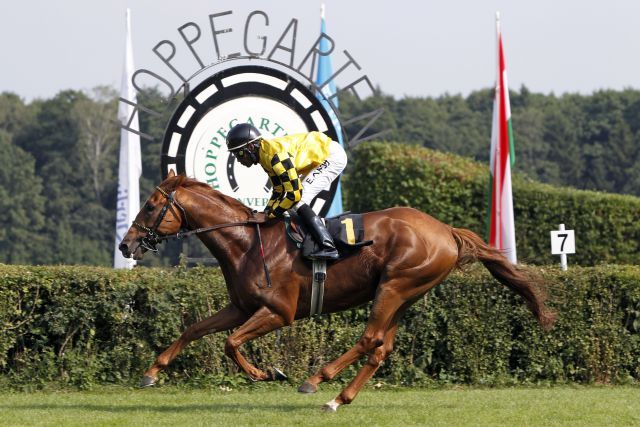 Lexceed mit Eduardo Pedroza gewinnt in Hoppegarten. www.galoppfoto.de - Sabine Brose