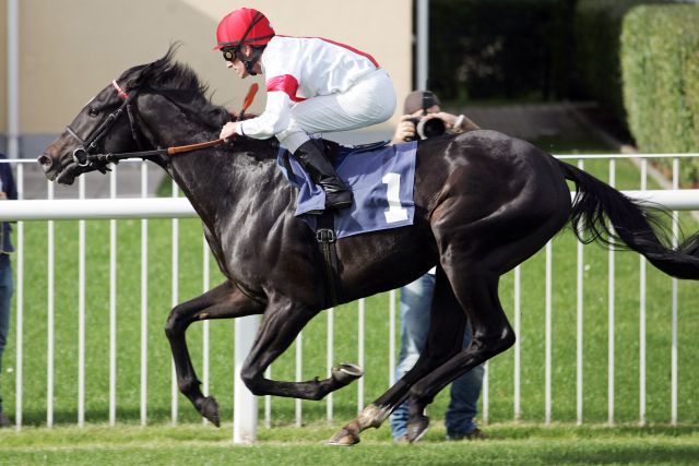 Hat eine Nennung für den Prix du Jockey Club Lindaro mit Andrasch Starke bei seinem Iffezheimer Sieg. www.galoppfoto.de - Sarah Bauer