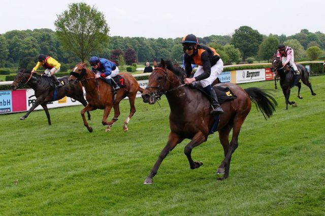 Mit dieser Vorstellung im Dr. Busch-Memorial gehört ihm die Favoritenrolle: Lucky Lion (rechts) rauscht mit Alexander Weis am Feld vorbei. Foto courtesy www.koeln-galopp.de/www.klatuso.com/Tuchel