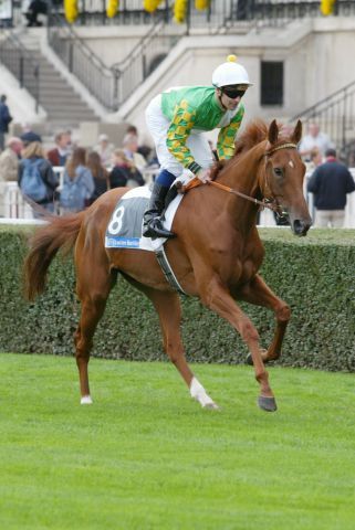 Die Manduro-Schwester Mandela, hier mit Olivier Peslier 2003 in Longchamp, hat in Japan ihren ersten Sieger auf der Bahn. www.galoppfoto.de