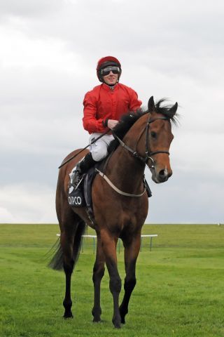 Mayson mit Paul Hanagan nach seinem Erfolg in den Pearl Bloodstock Palace House Stakes. www.galoppfoto.de - John James Clark