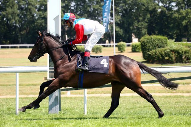 Einer der Favoriten im Nutan - BBAG-Auktionsrennen: Millowitsch - hier beim Sieg in der Litex Commerce Zweijährigen Trophy. www.koeln-galopp.de - Klaus-Jörg Tuchel