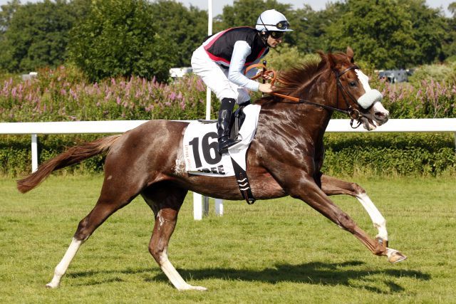 Open your Heart und Mirco Demuro beim Aufgalopp zum Derby, jetzt startet der Samum-Sohn als Mitfavorit im 124. Großen Preis von Berlin. www.galoppfoto.de - Frank Sorge