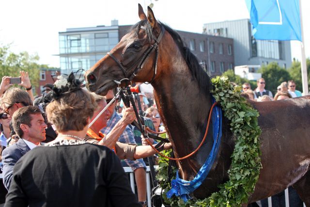 Lucky Speed, der diesjährige Derbysieger, läuft nicht im Preis von Europa, präsentiert sich aber beim "Schaufenster Vollblut" auf der Kölner Rennbahn. www.galoppfoto.de - Sabine Brose