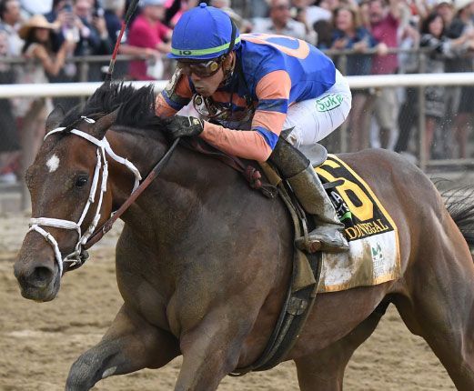 Mo Donegal ist der Sieger in den Belmont Stakes. Foto: courtesy by Belmont Park