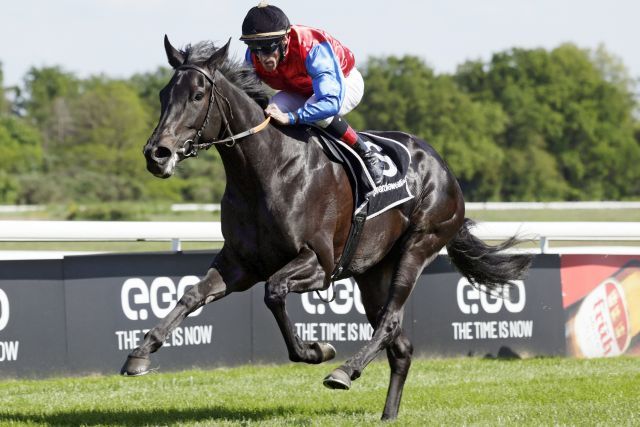 Classic prospect: Mountaha winning at Cologne. www.galoppfoto.de - Stephanie Gruttmann