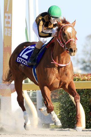 Mozu Ascot gewinnt unter Christophe Lemaire die February Stakes. www.galoppfoto.de - Yasuo Ito