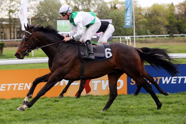 Stall Salzburgs Night Wish gewinnt im Stephen Hellyn im Sattel den Bet3000 Grand Prix-Aufgalopp. www.koeln-galopp.de - www.klatuso.com