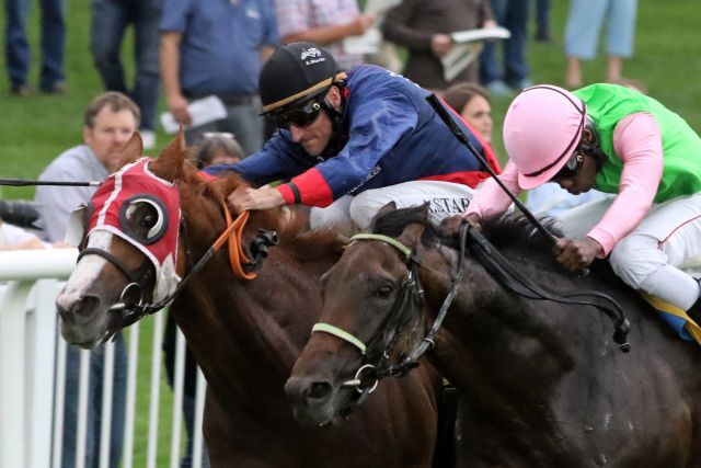 Wurde für das St. Leger nachgenannt: Eckhard Saurens Nordic Flight (links) - hier mit Andrasch Starke beim Sieg im BBAG Auktionsrennen in Baden-Baden. www.galoppfoto.de - Sarah Bauer