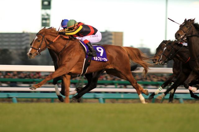 Orfevre mit Kenichi Ikezoe bei seinem Sieg im Arima Kinen, Gr. I, jetzt ist der Prix de l'Arc de Triomphe im Visier. www.shibashuji.com - Yasuo Ito