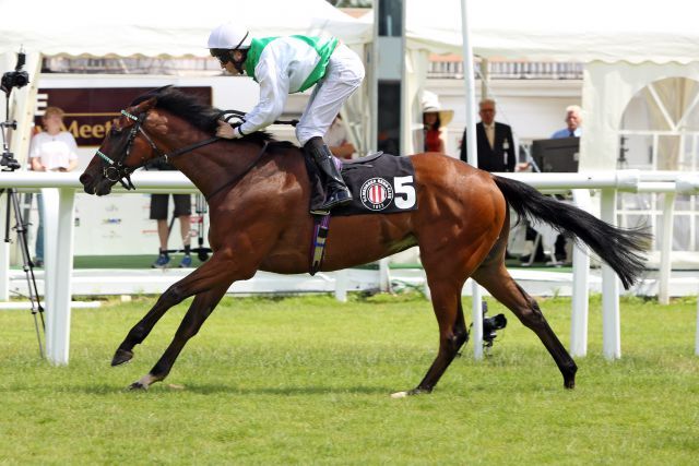 Pain Perdu bei seinem Sieg im Hanshin Cup. www.galoppfoto.de - Sabine Brose