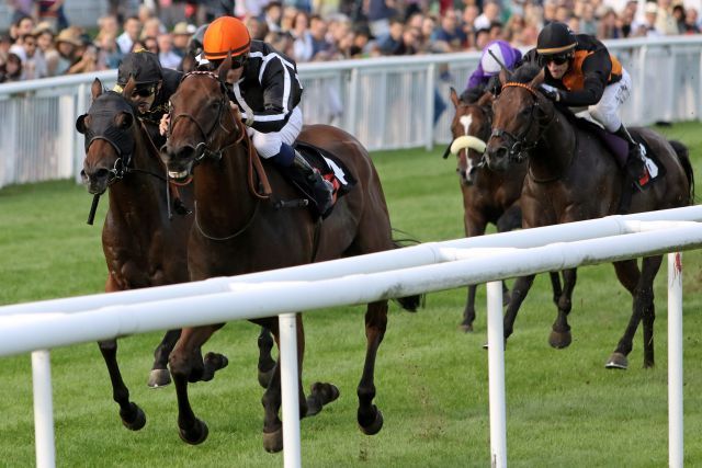 Pas de deux tanzt mit Ian Ferguson zum ersten Gruppesieg von Trainerin Yasmin Almenräder und zum "wichtigesten Treffer seit einem Jahrzehnt" für den Jockey. www.galoppfoto.de - Sarah Bauer