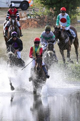 Pferde und Jockeys im See, auch der spätere Sieger Wutzelmann mit Dylan Robinson, der hier bereits in Front ist, geht am Sonntag wieder in Bad Harzburg im See baden. ©galoppfoto.de