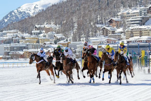 Pferde und Jockeys kurz nach dem Start auf dem zugefrorenen St. Moritzersee. www.galoppfoto.de - WiebkeArt
