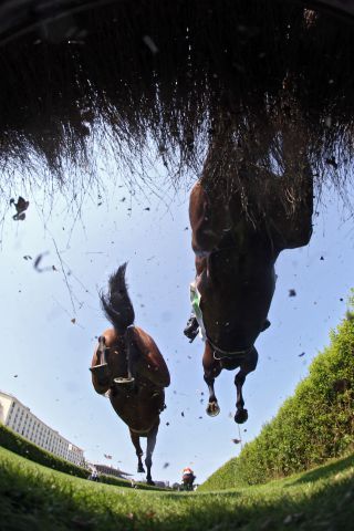 Pferde und Reiter beim Sprung über die Hürde. www.galoppfoto.de - Frank Sorge