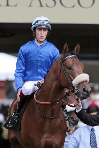 Planteur - hier mit Christophe Soumillon in Ascot - noch vor seinem Wechsel nach Dubai. www.galoppfoto.de