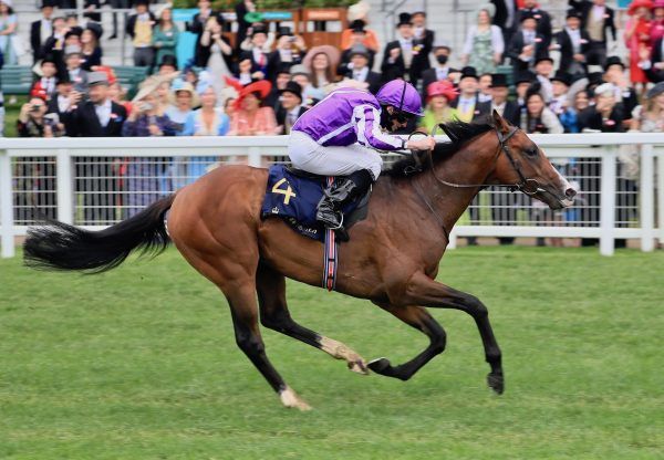Point Lonsdale holt sich die Chesham Stakes. Foto: courtesy by Coolmore