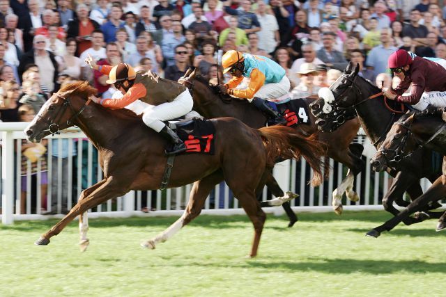 Polish Vulcano mit Wladimir Panov gewinnt den Preis der Sparkasse. www.galoppfoto.de - Sarah Bauer