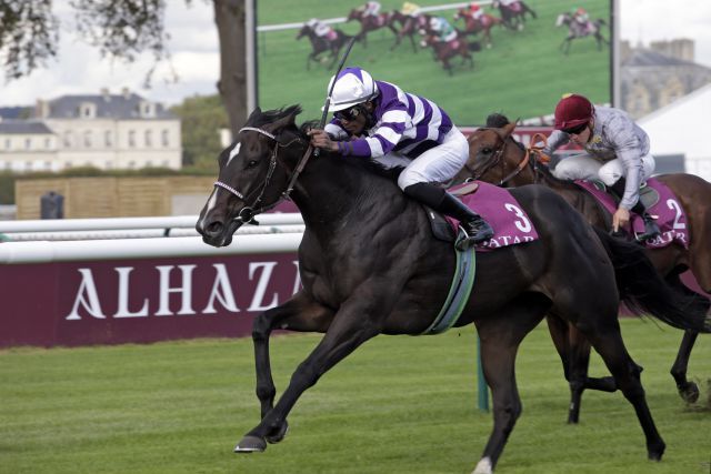 Potemkin gewinnt mit Eduardo Pedroza den Qatar Prix Dollar. www.galoppfoto.de - Frank Sorge