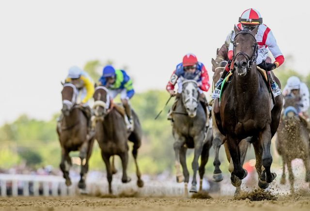 Early Voting holt sich die Preakness Stakes. Foto: courtesy by Pimlico racetrack