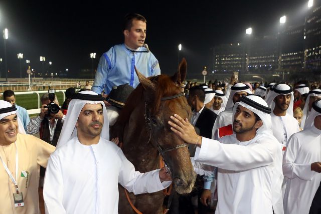Abschied von der Rennbahn: Der Dubai World Cup 2015-Sieger Prince Bishop hört auf. www.galoppfoto.de - Frank Sorge