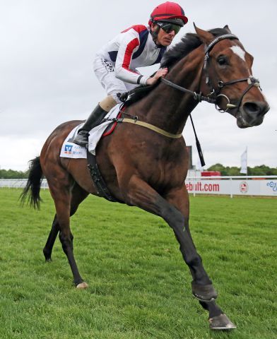 Gut erholt vom Derby-Flop: Probably - hier beim Aufgalopp mit Jacob Johansen. www.galoppfoto.de - Sabine Brose 