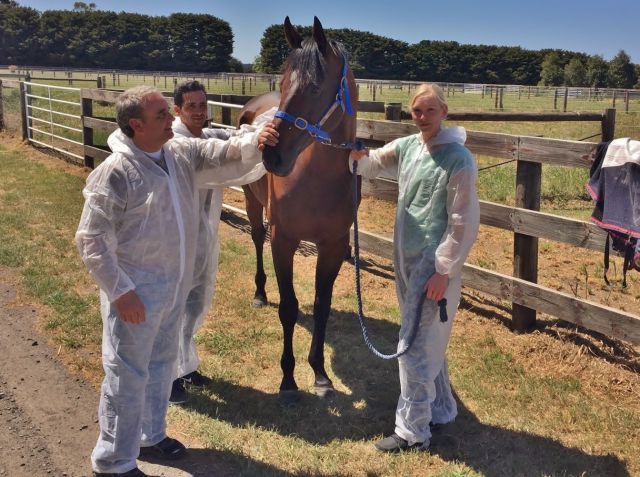 In Quarantäneanzügen bei Protectionist: Andreas Wöhler, Jose-Luis Silverio und Lisa Krüllmann. Foto: privat