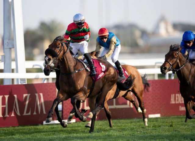 Russian Emperor holt sich unter Alberto Sanna den Jackpot in Katar. Foto: Qatar Racing