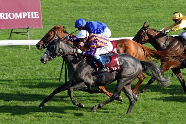 Rajsaman mit Thierry Jarnet (vorne) als Sieger im Qatar Prix Daniel Wildenstein 2011. www.galoppfoto.de - Frank Sorge