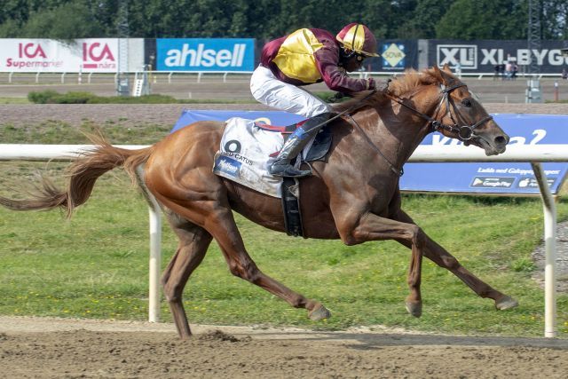 Eduardo Pedroza gewinnt das Schwedische Derby auf Red Cactus. www.galoppfoto.de - Stefan Uppström