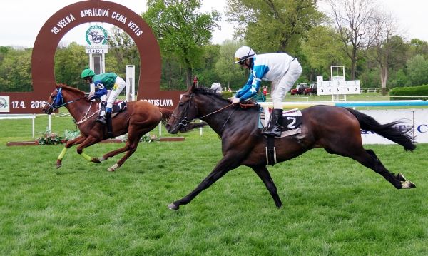 Red Hot Calypso schlägt im Großen April-Preis von Bratislava den Ex-Fährhofer Legionär. Foto: Peter Lukac