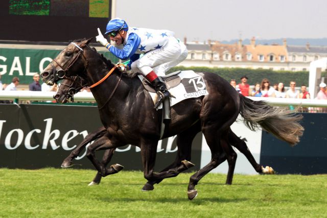 Neuer Stallion in Röttgen: Reliable Man als Sieger im Prix du Jockey Club 2011. www.galoppfoto.de - Sandra Scherning