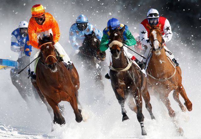 Rolling Home in St. Moritz (Foto: White Turf)