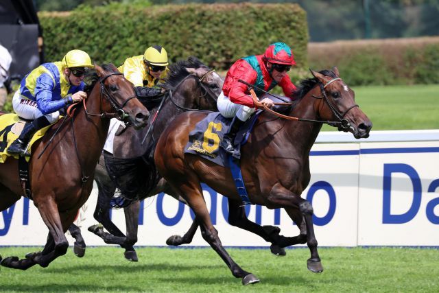 Royal Solitaire gewinnt in den Farben des Gestüts Ammerland mit Andrasch Starke beim zweiten Lebenstart. Foto: Dr. Jens Fuchs