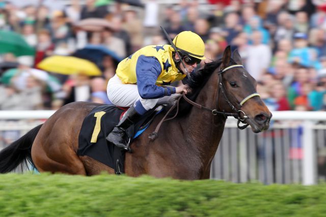 Scheint ein guter Fang zu sein - die Monsun-Tochter Arles läuft jetzt in den Berglar-Farben und gewann in Hoppegarten beim zweiten Lebensstart. www.galoppfoto.de - Frank Sorge