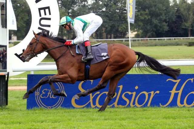 Gelingt Sea The Moon im Union-Rennen der 3. Streich? Hier bei seinem ersten Sieg beim Debut auf der Kölner Bahn mit Andreas Helfenbein. www.koeln-galopp.de - www.klatuso.com/Klaus-Jörg Tuchel