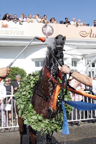 Sea the Moon geniesst nach dem Sieg im IDEE 145. Deutsche Derby die kalte Dusche. www.galoppfoto.de - Sabine Brose