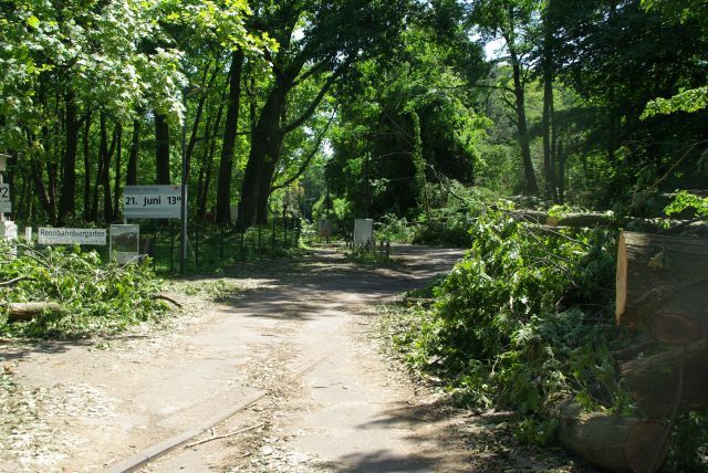 Drei Tage nach dem Unwetter: Das Gröbste ist weggeräumt, im Slalom geht es zur Rennbahn. www.dequia.de