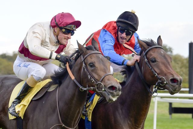 Heißes Finish zwischen der Schlenderhaner Siegerin Shagara unter Andrasch Starke (rechts) und Lady Mary mit Martin Seidl an Bord. ©galoppfoto - Jimmy Clark