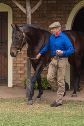 Monty Roberts mit Silvano, der in der gerade abgeschlossenen Saison 2019/2020 zum fünften Mal Championdeckhengst in Südafrika wurde. Foto: privat